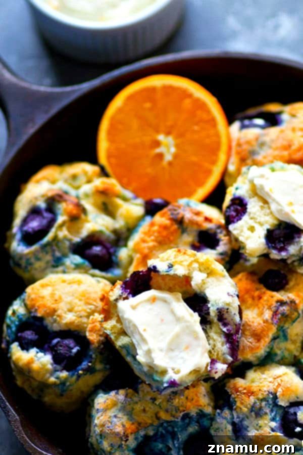 Coconut-Kissed Blueberry Biscuits with Sunny Orange Cloud Cream 3 Close-up of a stack of fluffy coconut oil blueberry biscuits.