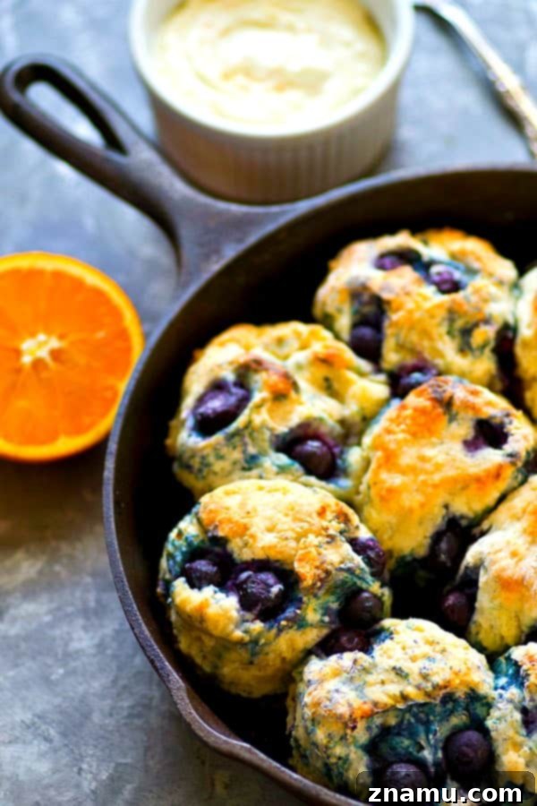 Coconut-Kissed Blueberry Biscuits with Sunny Orange Cloud Cream 4 Freshly baked coconut oil blueberry biscuits on a cooling rack.