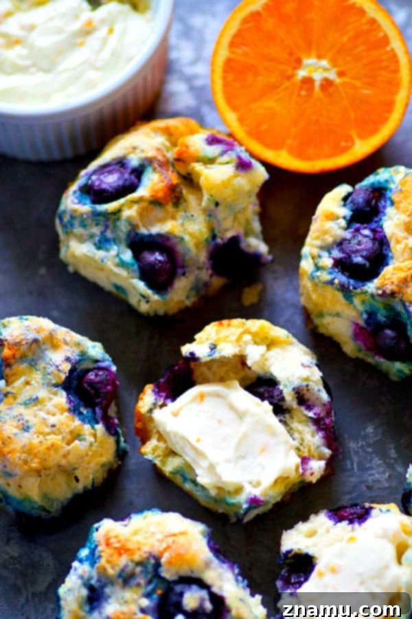 Coconut-Kissed Blueberry Biscuits with Sunny Orange Cloud Cream 5 Delicious coconut oil blueberry biscuits with orange whipped cream cheese.