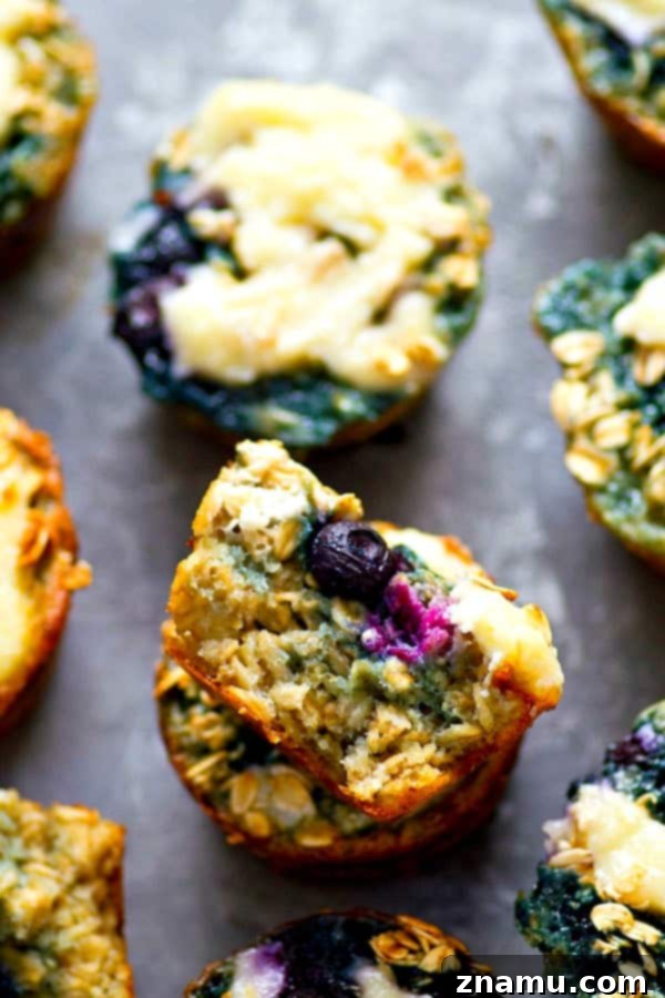 Swirled Blueberry Cheesecake Oat Muffins 4 A stack of freshly baked blueberry cheesecake oatmeal muffins, ready for grab-and-go enjoyment.