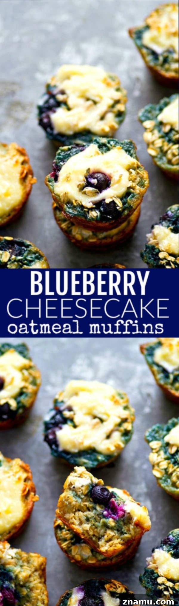 Swirled Blueberry Cheesecake Oat Muffins 6 A delicious spread of blueberry cheesecake oatmeal muffins, ready to be enjoyed as a wholesome breakfast.