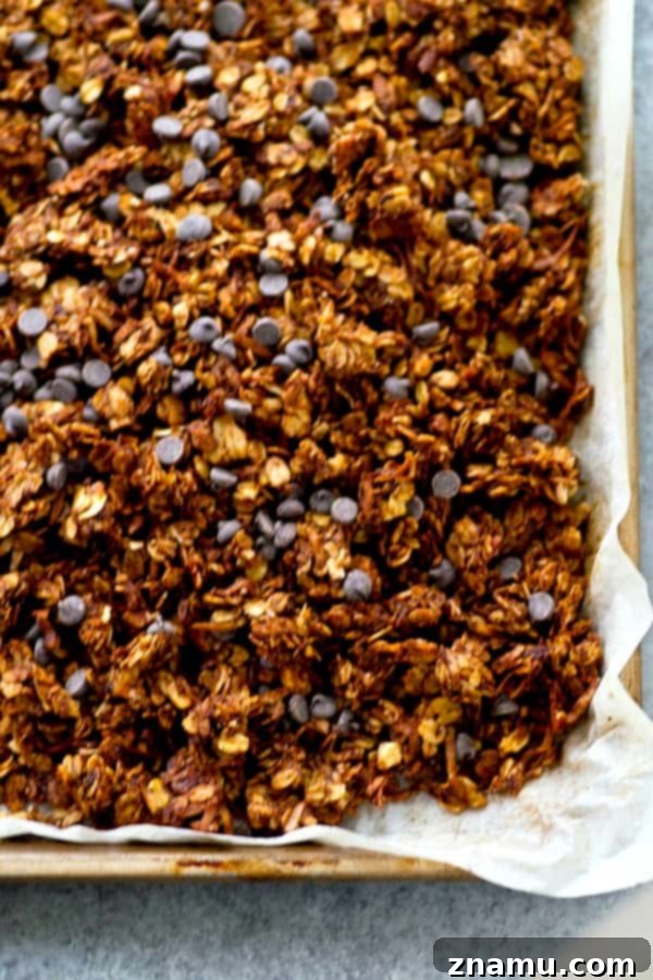 Rich Double Chocolate Chai Granola 3 Close-up of golden brown granola clusters with chocolate chips and spices