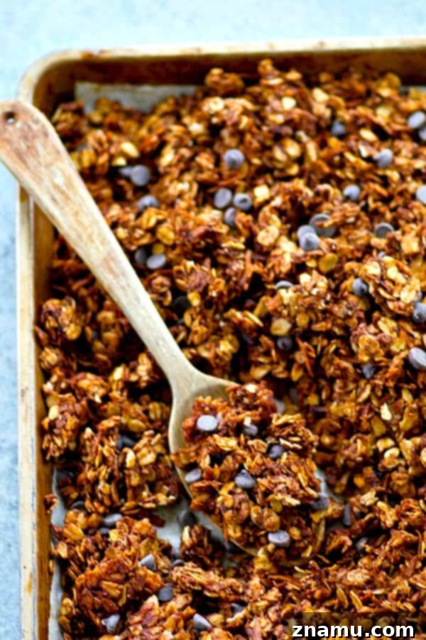 Rich Double Chocolate Chai Granola 5 Double Chocolate Chai Spice Granola served in a bowl with milk and fresh berries