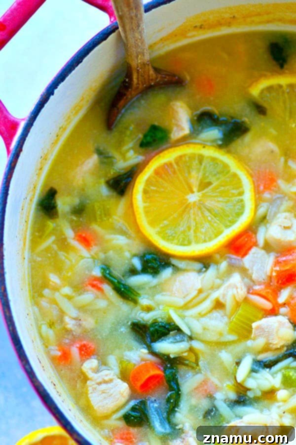 Close-up of Greek Lemon Chicken Orzo Soup with a focus on the tender chicken pieces, orzo pasta, and vibrant lemon slices, topped with crumbled feta cheese.
