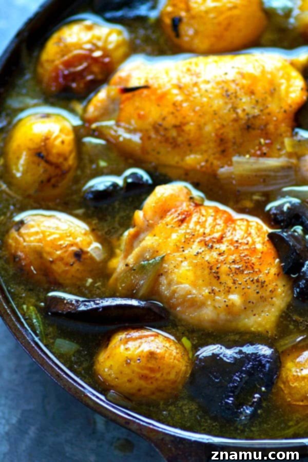 Golden White Wine Braised Chicken with Earthy Mushrooms and Baby Potatoes 3 Close-up of white wine braised chicken, showcasing the tender meat and rich sauce.