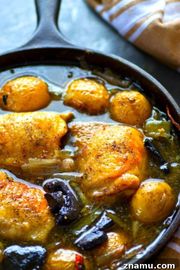 Golden White Wine Braised Chicken with Earthy Mushrooms and Baby Potatoes 4 Ingredients for braised chicken, including chicken thighs, baby potatoes, mushrooms, and fresh rosemary.