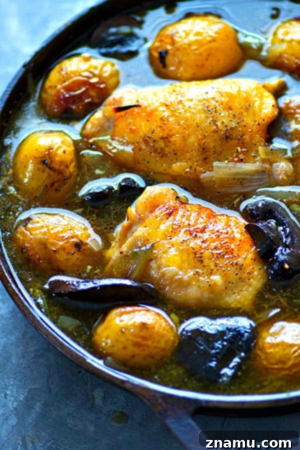 Golden White Wine Braised Chicken with Earthy Mushrooms and Baby Potatoes 5 A pan of white wine braised chicken and vegetables, ready to be served directly from the pot.