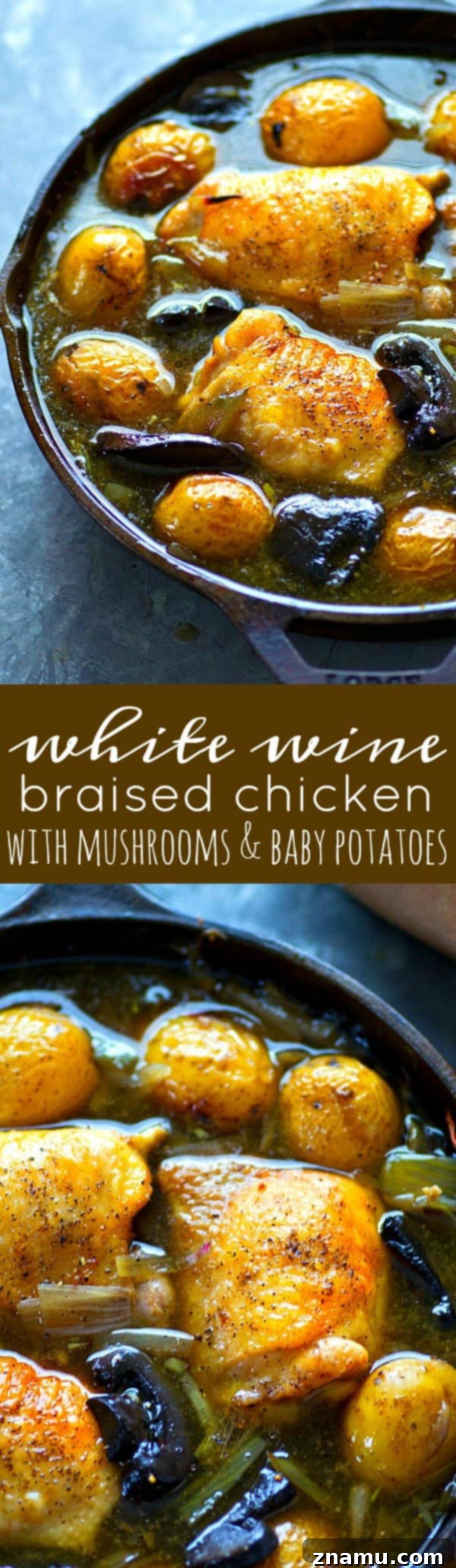 Golden White Wine Braised Chicken with Earthy Mushrooms and Baby Potatoes 7 A bowl of white wine braised chicken with a glass of white wine on the side, ready for a meal.
