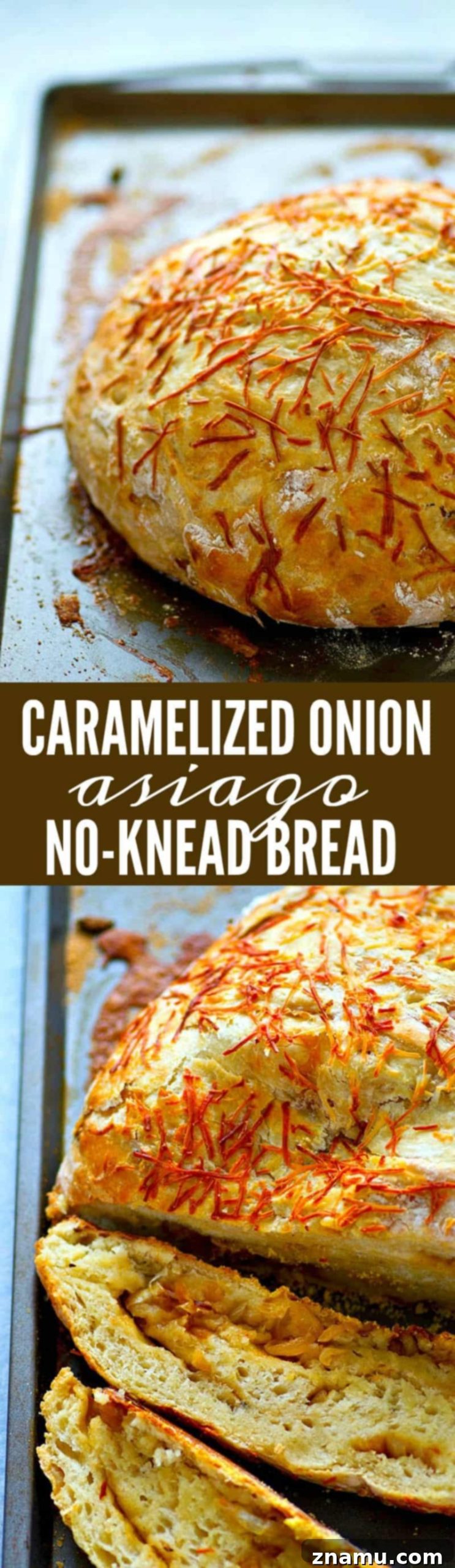 Artisan Caramelized Onion Asiago Loaf 6 Flavorful caramelized onion and sharp asiago cheese are the perfect duo in this stunning asiago no-knead bread! Its made overnight for easy baking the next day and SO incredibly tender and flavorful!
