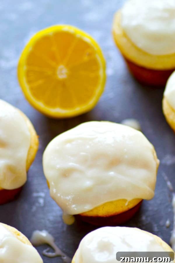 Sunshine-Glazed Meyer Lemon Cream Cheese Muffins 2 Freshly baked Meyer lemon cream cheese muffins, glazed and ready to eat.