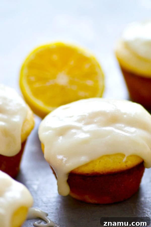 Sunshine-Glazed Meyer Lemon Cream Cheese Muffins 4 A plate of freshly baked Meyer lemon cream cheese muffins, showcasing their fluffy interior.
