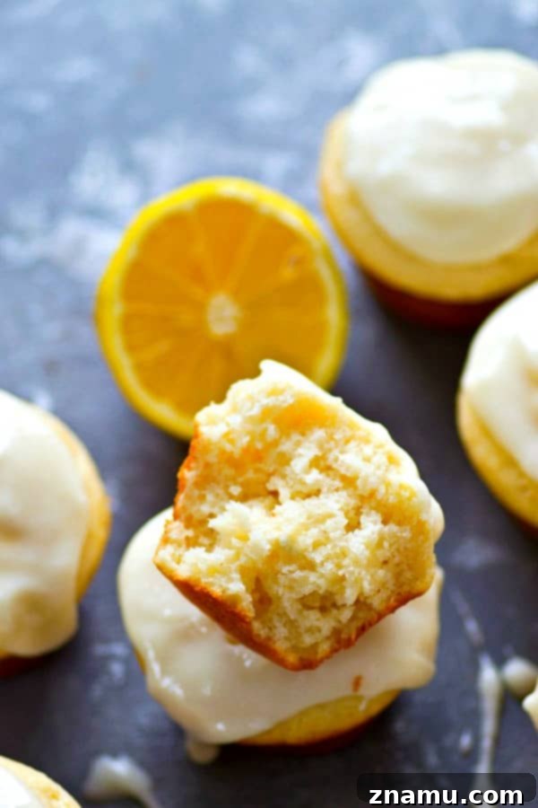 Sunshine-Glazed Meyer Lemon Cream Cheese Muffins 5 An inside view of a Meyer lemon cream cheese muffin, showing its soft, airy crumb.