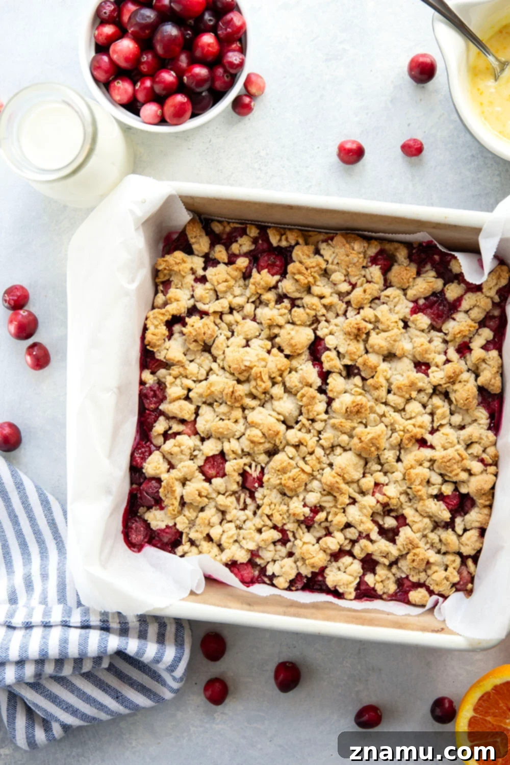 Cranberry Streusel Squares 3 Close-up of Cranberry Crumb Bars showing distinct layers of oatmeal crust, fruit filling, and streusel topping, ideal for holiday desserts.