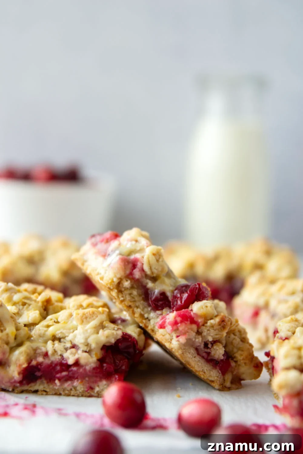 Cranberry Streusel Squares 4 Perfectly cut Cranberry Crumb Bars on a serving plate, highlighting the crumbly streusel topping and the vibrant red cranberry filling.