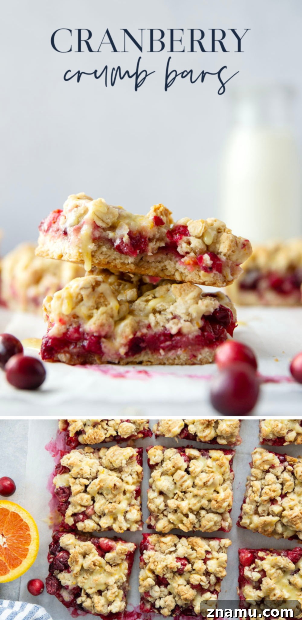 Cranberry Streusel Squares 7 A stunning overhead shot of multiple Cranberry Crumb Bars, glazed and ready to be served, emphasizing their festive appeal.