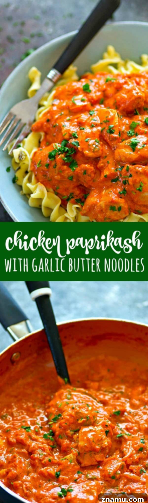 Homestyle Paprikash with Buttery Garlic Noodles 5 Overhead shot of a full dinner plate featuring chicken paprikash and a large portion of garlic butter noodles, promising a satisfying meal.