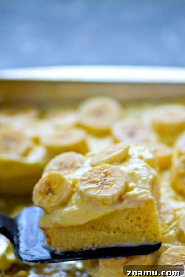 Dreamy Banana Cream Sheet Cake 4 Layers of cake, pudding, and fresh bananas in a sheet pan