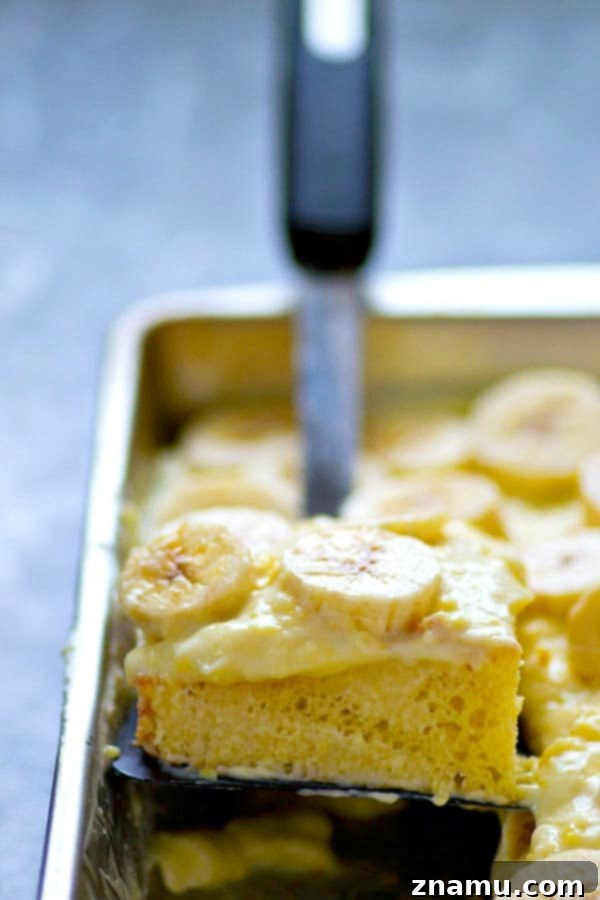 Dreamy Banana Cream Sheet Cake 5 Sliced Banana Cream Pie Sheet Cake ready to serve