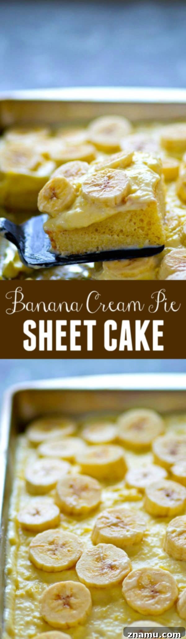 Dreamy Banana Cream Sheet Cake 6 Overhead shot of entire Banana Cream Pie Sheet Cake