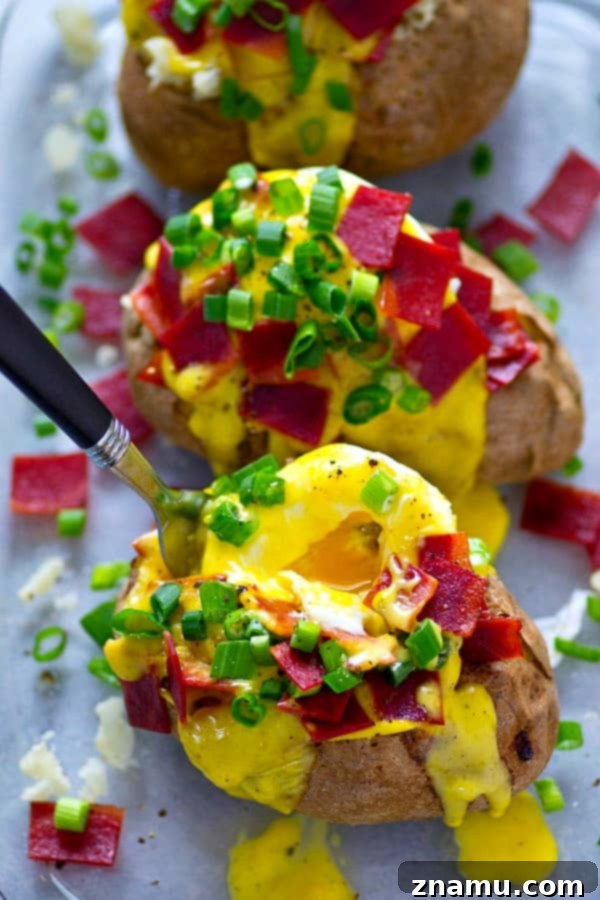 Bacon Eggs Benedict Baked Potato 4 Three Bacon Eggs Benedict Breakfast Baked Potatoes ready to be served