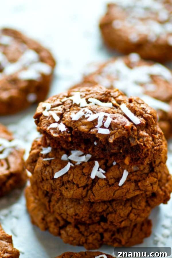 Fudgy Coconut Chocolate Cookies 4 A plate of warm coconut chocolate fudge cookies, ready to be enjoyed.