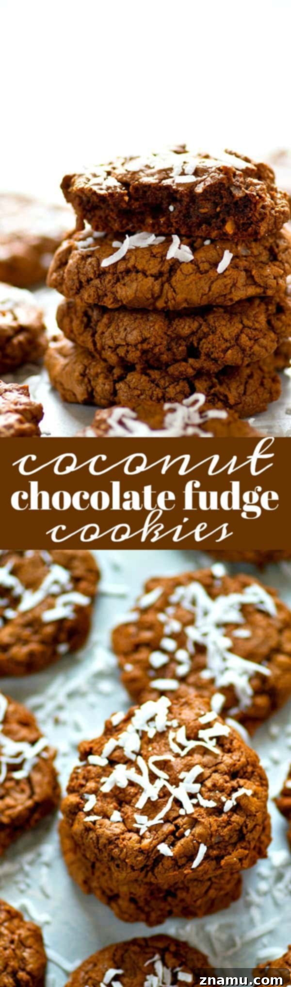 Fudgy Coconut Chocolate Cookies 6 Delicious coconut chocolate fudge cookies displayed beautifully.