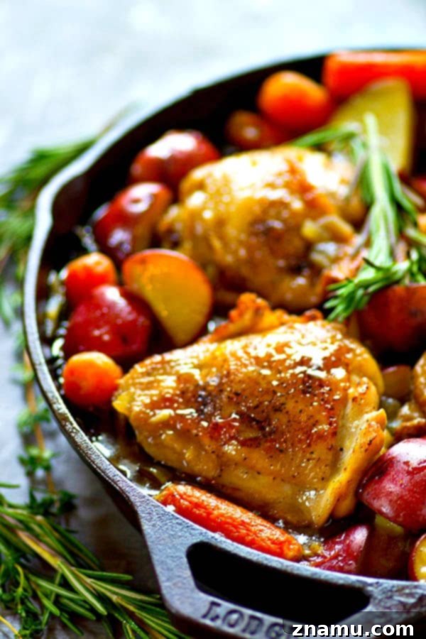 Hearty Beer Braised Chicken with Root Vegetables 3 Close-up of Beer Braised Chicken, Potatoes, and Carrots in a Skillet