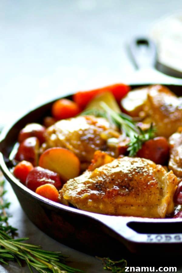 Hearty Beer Braised Chicken with Root Vegetables 5 Ready-to-Serve Beer Braised Chicken with Garnishes