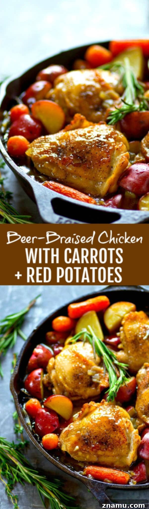 Hearty Beer Braised Chicken with Root Vegetables 6 Hearty Beer Braised Chicken with Root Vegetables