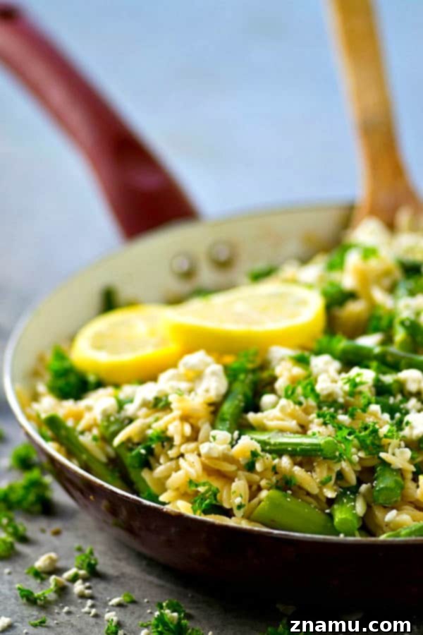 Nutty Lemon Feta Asparagus Orzo Skillet 3 Close-up of fresh green asparagus spears and crumbled feta cheese mixed into hot orzo pasta, highlighting key ingredients for a spring skillet meal