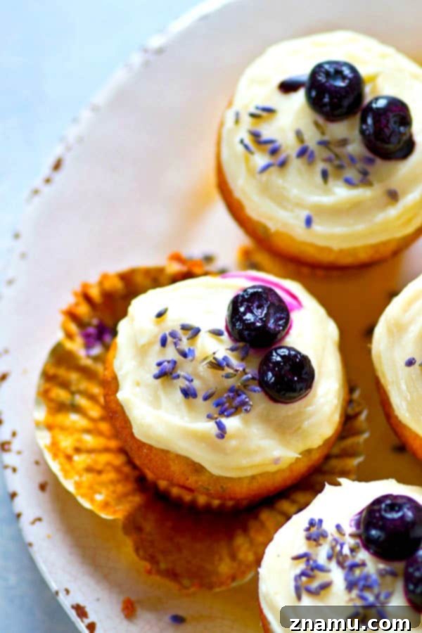 Blueberry Lavender Cream Cheese Bliss 2 Soft blueberry lavender cream cheese cupcakes with silky frosting, a perfect elegant dessert.