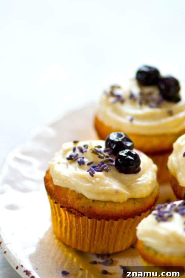 Blueberry Lavender Cream Cheese Bliss 3 Beautifully frosted blueberry lavender cupcakes, ready for a spring or summer celebration.