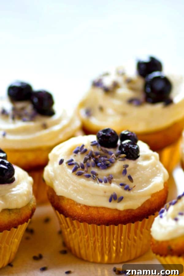 Blueberry Lavender Cream Cheese Bliss 5 Close-up of a blueberry lavender cupcake topped with generous cream cheese frosting.
