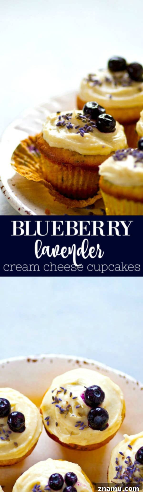 Blueberry Lavender Cream Cheese Bliss 6 A selection of gourmet blueberry lavender cream cheese cupcakes, artfully arranged.
