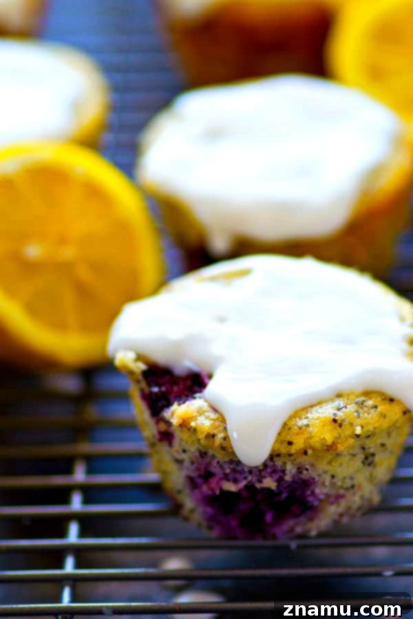Zesty Lemon Blackberry Poppyseed Muffins 3 Close-up of a lemon poppyseed blackberry muffin showing its tender crumb, embedded blackberries, and glistening lemon glaze.