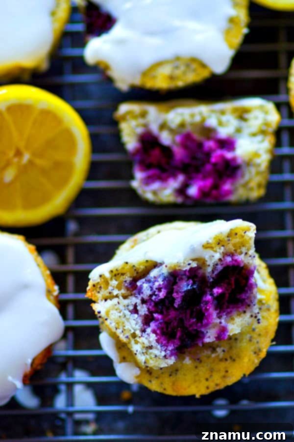 Zesty Lemon Blackberry Poppyseed Muffins 4 A tray of freshly baked lemon poppyseed blackberry muffins, golden brown and ready for glazing.