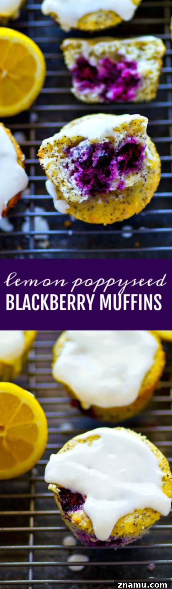 Zesty Lemon Blackberry Poppyseed Muffins 6 A close-up shot of the top of a lemon poppyseed blackberry muffin, showing the vibrant poppy seeds and dark blackberries against the light crumb, topped with a generous glaze.