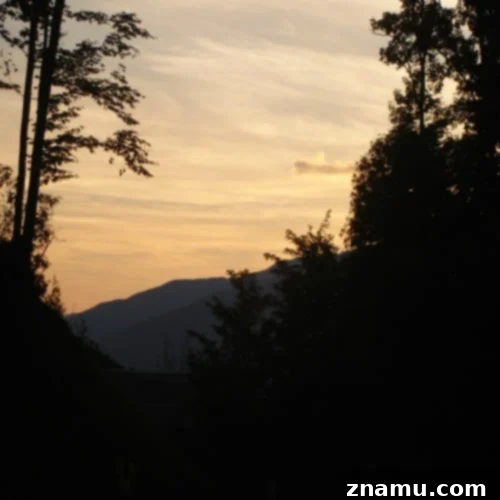 Making Memories in Tennessee: A Family Photo Story 2 Family Vacation in Gatlinburg, TN: Exploring the Great Smoky Mountains