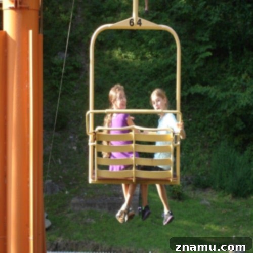 Making Memories in Tennessee: A Family Photo Story 12 Family on Gatlinburg SkyLift