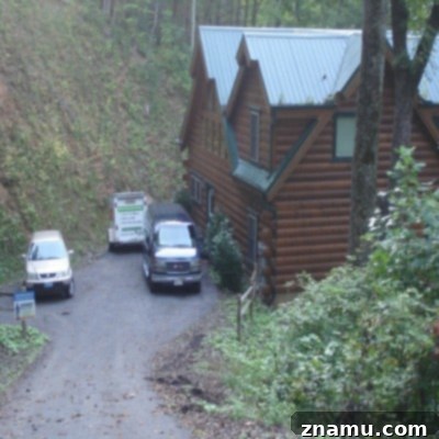 Making Memories in Tennessee: A Family Photo Story 3 Spacious Cabin Rental in Smoky Mountains