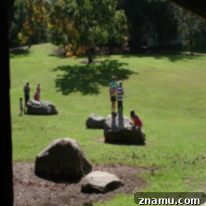 Making Memories in Tennessee: A Family Photo Story 22 Church Picnic in Gatlinburg Park