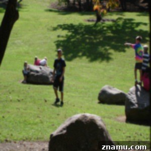 Making Memories in Tennessee: A Family Photo Story 23 Kids Playing at Gatlinburg Picnic