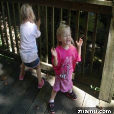 Making Memories in Tennessee: A Family Photo Story 31 Playful Nieces in Tennessee