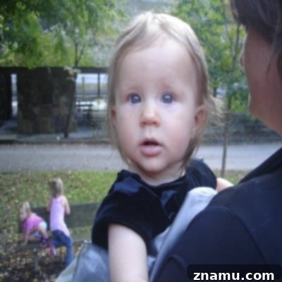 Making Memories in Tennessee: A Family Photo Story 32 Sweet Baby Lilly in Gatlinburg