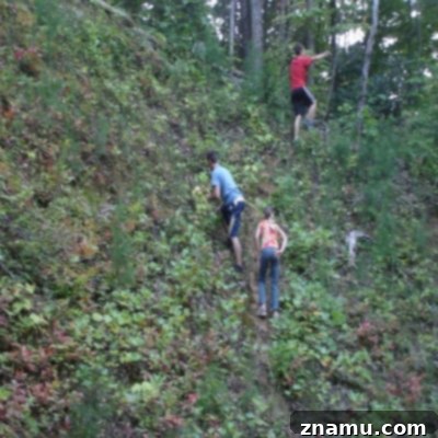 Making Memories in Tennessee: A Family Photo Story 37 Mountain Climbing Near Cabin