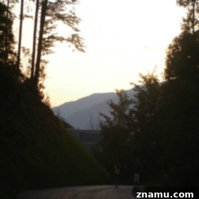 Making Memories in Tennessee: A Family Photo Story 6 Scenic Views from Gatlinburg Cabin