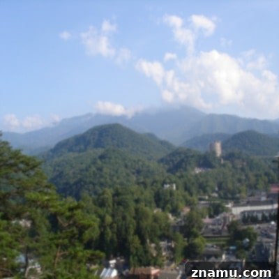 Making Memories in Tennessee: A Family Photo Story 10 Gatlinburg SkyLift Ride