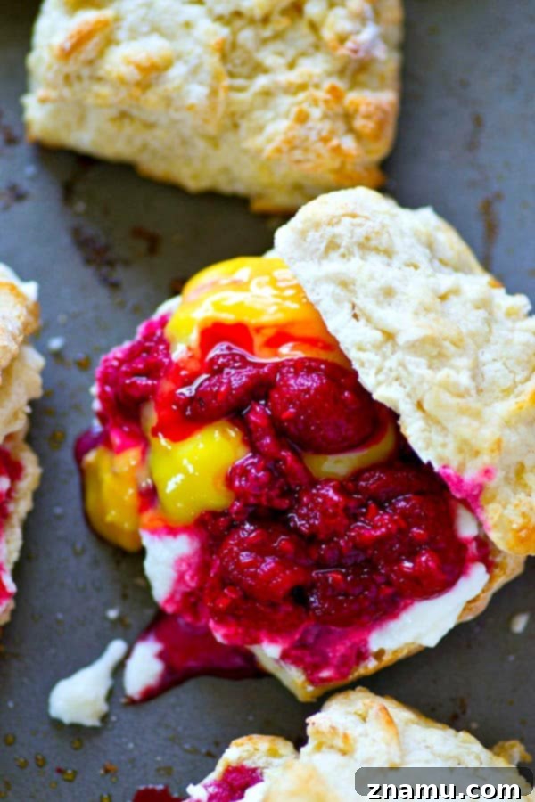 Bright Lemon Raspberry Shortcakes with Zesty Curd 2 Flaky homemade lemon butter biscuits are filled to capacity with tangy raspberries, creamy lemon curd, and lots of fluffy whipped cream for the ultimate summer lemon raspberry shortcakes!