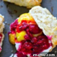 Flaky homemade lemon butter biscuits are filled to capacity with tangy raspberries, creamy lemon curd, and lots of fluffy whipped cream for the ultimate summer lemon raspberry shortcakes!