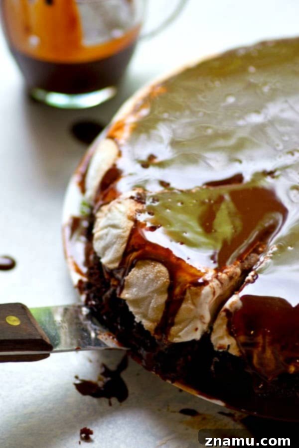 Decadent Chocolate Hot Fudge Ice Cream Cake 2 A vibrant, single-layer chocolate hot fudge ice cream cake, ready to be sliced, highlighting its rich layers of cake, ice cream, and generous fudge topping.